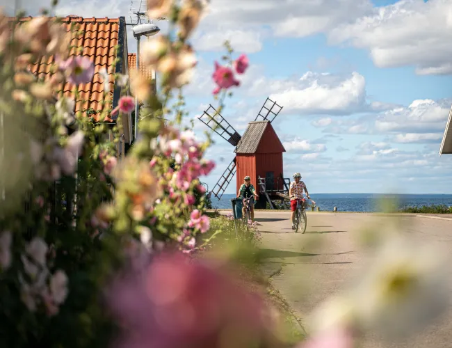 Cykla i Mörbylånga